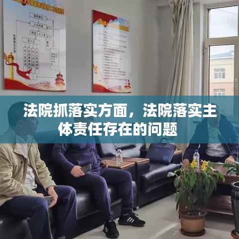 法院抓落实方面,法院落实主体责任存在的问题