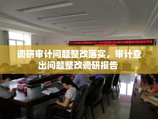 调研审计问题整改落实,审计查出问题整改调研报告