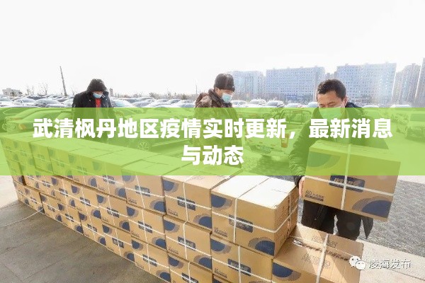 武清枫丹地区疫情实时更新,最新消息与动态