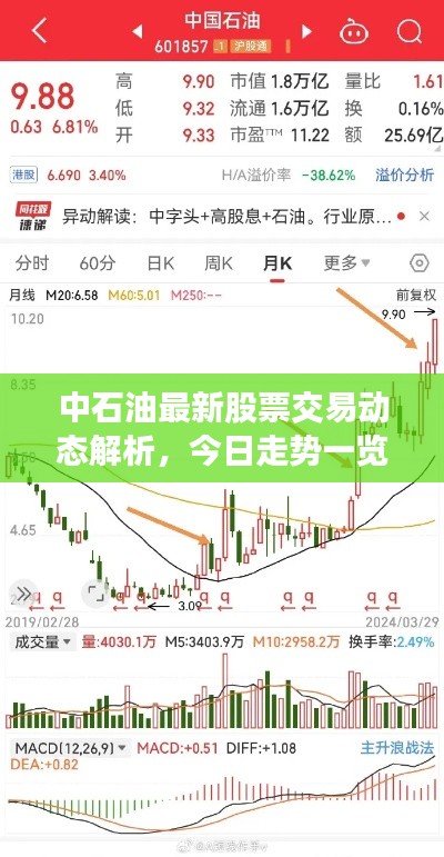 中石油最新股票交易动态解析，今日走势一览