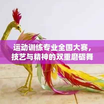 运动训练专业全国大赛,技艺与精神的双重磨砺舞台